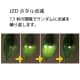 ジェフコム 【生産完了品】LEDホタル 増設用 4連1組  SJ-E10FF-4LD 画像2