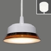 タキズミ 【生産完了品】LED小形ペンダントライト 電球色 高さ調節可能(コード長調節具付) 壁スイッチ式  TP20003LAM 画像1