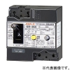 テンパール工業 漏電遮断器 2P2E30AF 20A 2EC2030