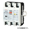テンパール工業 漏電遮断器 3P2E100AF 50A 単3中性線欠相保護機能付 U10301HKC530