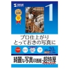 サンワサプライ 【生産完了品】インクジェット写真印画紙 A3サイズ 超光沢・超特厚タイプ 片面印刷 20枚入 JP-EP1NA3