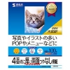 サンワサプライ 【生産完了品】インクジェット用印刷紙 A4サイズ つやなしマット・厚手タイプ スーパーファイングレード 両面印刷 100枚入 JP-ERV5NA4-100