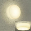 DAIKO LED浴室灯 電球色 非調光タイプ 白熱灯60Wタイプ 防雨・防湿形 天井・壁付兼用 LED浴室灯 電球色 非調光タイプ 白熱灯60Wタイプ 防雨・防湿形 天井・壁付兼用 DWP-37164 画像1