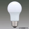 アイリスオーヤマ 【生産完了品】LED電球 一般電球形 全方向タイプ 一般電球40形相当 昼白色 E26口金 密閉形器具対応 LDA4N-G/W-4T3