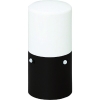 アイリスオーヤマ LEDガーデンセンサーライト 足下灯 スリムタイプ 乾電池式 防雨タイプ 白色 LED1.0W センサー部2ヶ所 電池別売 LSL-MS1