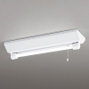 オーデリック 直管形LED非常用照明器具 防雨・防湿型 水平天井取付専用 FL20W相当 昼白色 OR037007P1