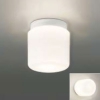 コイズミ照明 【生産完了品】LED浴室灯 防湿型 壁面・天井面取付用 白熱球60W相当 電球色 傾斜天井対応 AW47016L