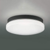 コイズミ照明 LED一体型軒下シーリングライト 防雨・防湿型 天井・壁面取付用 FCL20W相当 昼白色 黒 AU46980L