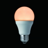 ヤザワ 蓄光LED電球40W形相当 電球色 蓄光LED電球40W形相当 電球色 LDA5LGF 画像2