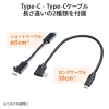 サンワサプライ USB Type-C ドッキングハブ USB Type-C ドッキングハブ USB-3TCH14S2 画像5