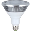 LED-17W