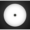 アイリスオーヤマ 【販売終了】LED小型シーリングライト 薄形2000lm 昼白色 人感センサー LED小型シーリングライト 薄形2000lm 昼白色 人感センサー SCL20NMS-UU 画像2