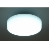 アイリスオーヤマ 【販売終了】LED小型シーリングライト 2000lm 昼光色 SCL20D-MCHL