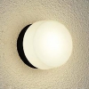 DAIKO 【生産完了品】LEDブラケットライト 防雨・防湿形 一般浴室用 白熱灯60W相当 非調光 電球色 ブラック LZW-90454YBE