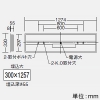 DAIKO 非常用LED長形ベースライト 40形 埋込形 幅300mm 4000lmクラス FLR40形×2灯相当 非調光 温白色 非常用LED長形ベースライト 40形 埋込形 幅300mm 4000lmクラス FLR40形×2灯相当 非調光 温白色 LZE-93065XW+LZA-92822A 画像2