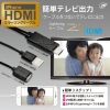 日本トラストテクノロジー iPhone HDMIミラーリングケーブル ブラック iPhone HDMIミラーリングケーブル ブラック IPHDMIBK 画像3