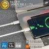 日本トラストテクノロジー 100WPD対応ケーブル2m 100WPD対応ケーブル2m X51100TC20WH 画像2