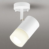 オーデリック LEDスポットライト フレンジタイプ R15 クラス2 白熱灯器具100W相当 LED電球一般形 口金E26 電球色〜昼光色 Bluetooth&reg;調光・調色 拡散配光 オフホワイト OS256671BR