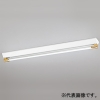 オーデリック 【生産完了品】LEDベースライト ≪LED-TUBE≫ R15 クラス2 直付型 40形 ソケットカバー付 1灯用 2100lmタイプ FL40W相当 LEDランプ型 片側給電・片側配線タイプ 昼白色 非調光タイプ 金色 LEDベースライト ≪LED-TUBE≫ R15 クラス2 直付型 40形 ソケットカバー付 1灯用 2100lmタイプ FL40W相当 LEDランプ型 片側給電・片側配線タイプ 昼白色 非調光タイプ 金色 XL551190R 画像1