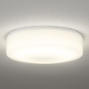 オーデリック 薄型LEDバスルームライト 防雨・防湿型 全配光タイプ 高演色LED 白熱灯器具100W相当 LED一体型 電球色 ねじ込式 非調光タイプ OG254874R