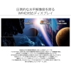 JAPANNEXT 法人様限定 25.7インチ ワイドFHD (2560 x 1080) 液晶モニター HDMI DP 代引き決済不可 法人様限定 25.7インチ ワイドFHD (2560 x 1080) 液晶モニター HDMI DP 代引き決済不可 JN-IPS257WFHD 画像2