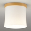 オーデリック LED小型シーリングライト 高演色LED 白熱灯器具60W相当 LED電球ミニクリプトン形 口金E17 電球色 非調光タイプ ナチュラル色 OL013007LR