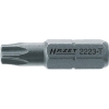 HAZET ビット(差込角6.35mm) 刃先T40 2223-T40