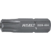 HAZET ビット(差込角6.35mm) 刃先10H 2225-10H