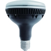 IRIS 【生産完了品】E39口金 バラストレス 4000lmクラス ブラック LDR100-200V25N8-H/E39-40BK3