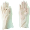DAILOVE 耐溶剤用手袋 ダイローブH3(L) 耐溶剤用手袋 ダイローブH3(L) DH3-L 画像1