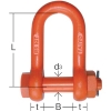 大洋 軽量シャックル RS-5t 軽量シャックル RS-5t RS-5T 画像2