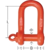 大洋 軽量捻込シャックル RSS-10t 軽量捻込シャックル RSS-10t RSS-10T 画像1