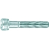 トラスコ中山(TRUSCO) 六角穴付ボルト 三価白 半ネジM12×60 2本入 B730-1260