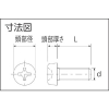 TRUSCO ポリエーテルエーテルケトン(PEEK)十字穴付ナベ小ネジ M3X10 50本入 ポリエーテルエーテルケトン(PEEK)十字穴付ナベ小ネジ M3X10 50本入 BPEEK-PHM3X10 画像2