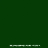 KANSAI 油性シリコンラッカースプレー ダークグリーン 420ML 油性シリコンラッカースプレー ダークグリーン 420ML 00587644402420 画像2