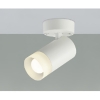 コイズミ照明 LEDシリンダースポットライト フランジタイプ 白熱球100W相当 散光配光 非調光 電球色 ランプ付 LEDシリンダースポットライト フランジタイプ 白熱球100W相当 散光配光 非調光 電球色 ランプ付 AS51735 画像1