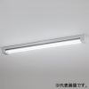 オーデリック 【生産完了品】LEDベースライト ≪LED-TUBE≫ 高演色LED 直付型 40形 2灯用 2100lmタイプ FL40W×2灯相当 LEDランプ型 片側給電・片側配線タイプ 昼光色 非調光タイプ マットシルバー OL551324RA