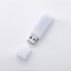 ELECOM 【生産完了品】法人向ケRecoveryUSB-R (16GB)-A 法人向ケRecoveryUSB-R (16GB)-A UF-RRAN16GA 画像1