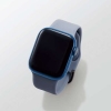 ELECOM Apple Watch用シリコンバンド ニュアンスカラー Apple Watch用シリコンバンド ニュアンスカラー AW-41BDSCGNV 画像2