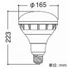 遠藤照明 LED電球 バラストレス水銀レフ形300〜250W形相当 拡散配光 非調光 ナチュラルホワイト(4000K) E39口金 LED電球 バラストレス水銀レフ形300〜250W形相当 拡散配光 非調光 ナチュラルホワイト(4000K) E39口金 RAD-590W 画像2
