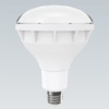遠藤照明 LED電球 バラストレス水銀レフ形160W形相当 拡散配光 非調光 昼白色 E26口金 RAD-588N