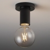 遠藤照明 LEDシーリングライト φ95透明ボール球40W形×1相当 調光対応 E26口金 ランプ別売 黒 ERG5556B