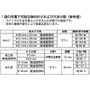 マキタ 充電式ドライバドリルセット 10.8V リチウムイオン1.3Ah 充電式ドライバドリルセット 10.8V リチウムイオン1.3Ah DF030DWX 画像2