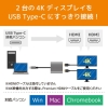 ラトックシステム USB Type-C to デュアルHDMIディスプレイアダプター USB Type-C to デュアルHDMIディスプレイアダプター RS-UCHD2 画像2