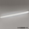 オーデリック LEDベースライト ≪LED-TUBE≫ 直付型 トラフ型 1灯用 110形 4600lmタイプ FLR110W相当 LEDランプ型 口金R17d 片側給電・片側配線タイプ 昼光色 非調光タイプ XL251539A