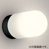 オーデリック LEDバスルームライト 防雨・防湿型 高演色LED 白熱灯器具60W相当 LED電球一般形 口金E26 電球色 壁面・天井面・傾斜面取付兼用 黒色 OG254767LR