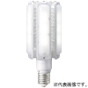 岩崎電気 【生産完了品】LEDランプ ≪LEDioc LEDライトバルブ≫ 86W 水銀ランプ300W相当・メタルハライドランプ250W相当 垂直点灯 昼白色 E39口金 LDTS86N-G-E39