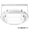 岩崎電気 【受注生産品】LED高天井用照明器具 ≪LEDioc HIGH-BAY θ+≫ 屋内用 高温80℃対応形 200Wタイプ 水銀ランプ700W相当 広角タイプ 昼白色 電源ユニット別置形 クリアタイプ 【受注生産品】LED高天井用照明器具 ≪LEDioc HIGH-BAY θ+≫ 屋内用 高温80℃対応形 200Wタイプ 水銀ランプ700W相当 広角タイプ 昼白色 電源ユニット別置形 クリアタイプ EHWP20017W/NSAN9 画像1