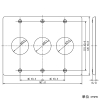 神保電器 【受注生産品】コンセントプレート 《ニューメタルプレート》 3連用 φ35.5mm 【受注生産品】コンセントプレート 《ニューメタルプレート》 3連用 φ35.5mm HBP-804A-3 画像2