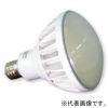 アップルツリー LEDランプ バラストレス水銀灯タイプ 160W形 昼白色 E26口金 MLF015W585HSL